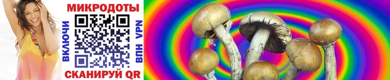 Псилоцибиновые грибы Magic Shrooms  купить наркоту  Камышлов 