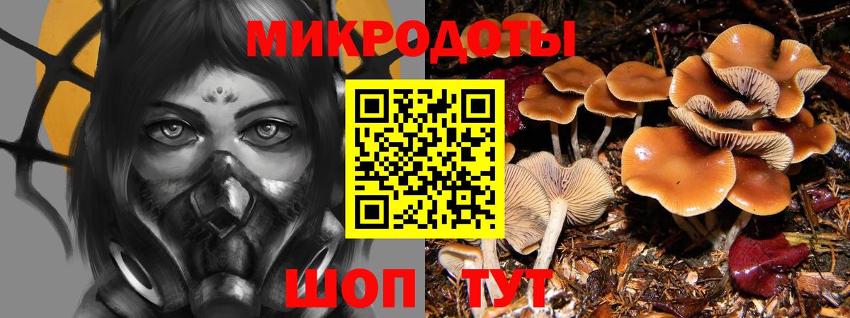 Галлюциногенные грибы Psilocybine cubensis Камышлов