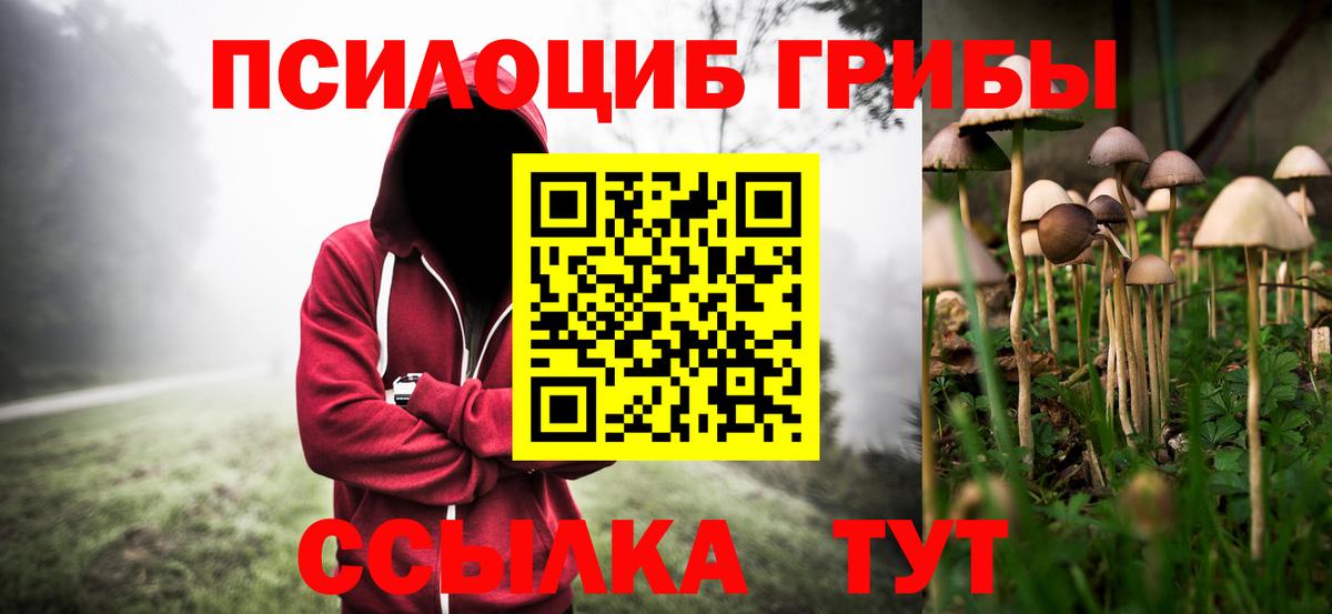 Псилоцибиновые грибы Magic Shrooms  купить закладку  Псилоцибиновые грибы GOLDEN TEACHER  Камышлов 