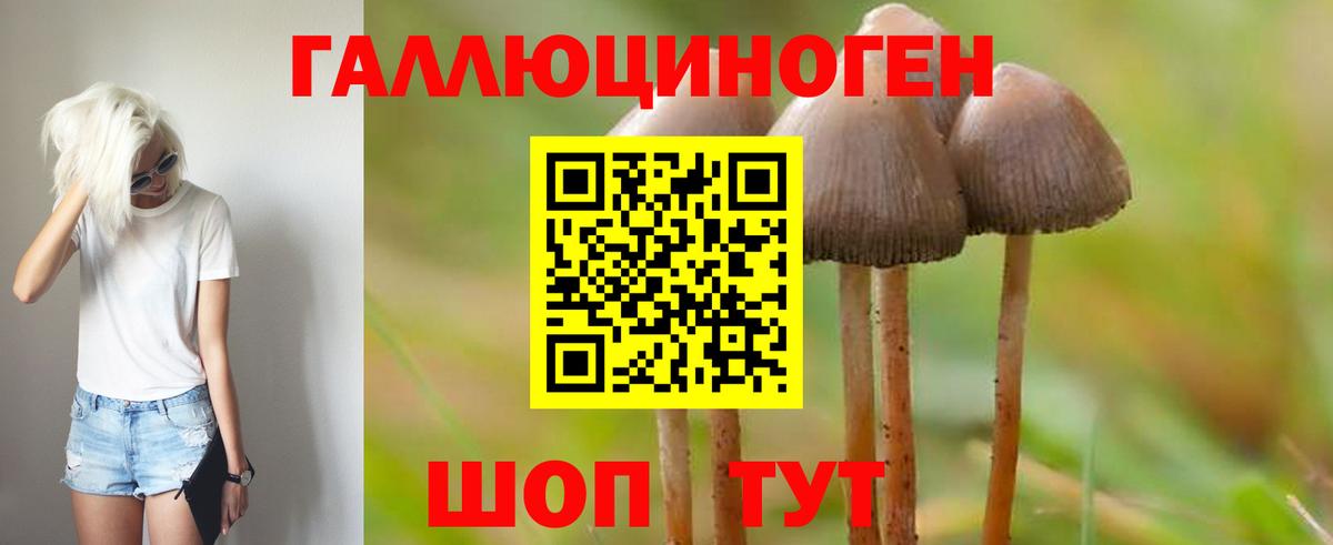 как найти   Галлюциногенные грибы MAGIC MUSHROOMS  Вход с VPN  Камышлов  Псилоцибиновые грибы прущие грибы 